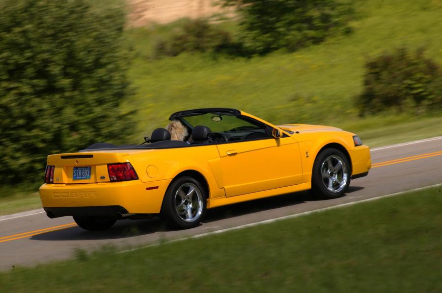  Ford Mustang SVT Cobra Convertible 2002 года  (фото 35 из 103)